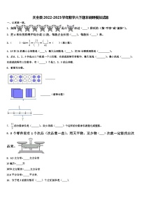 天全县2022-2023学年数学六下期末调研模拟试题含解析