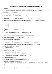 安多县2023年六年级数学第二学期期末达标检测模拟试题含解析