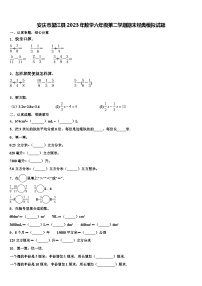 安庆市望江县2023年数学六年级第二学期期末经典模拟试题含解析