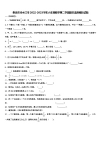 娄底市冷水江市2022-2023学年六年级数学第二学期期末监测模拟试题含解析