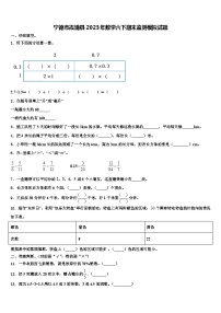 宁德市霞浦县2023年数学六下期末监测模拟试题含解析