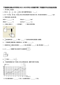 宁夏回族石嘴山市平罗县2022-2023学年六年级数学第二学期期末学业质量监测试题含解析