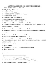 山东青岛市崂山区金家岭学校2023年数学六下期末经典模拟试题含解析