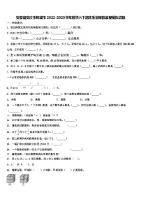 安徽省安庆市桐城市2022-2023学年数学六下期末质量跟踪监视模拟试题含解析