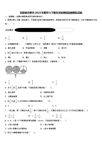 安徽省合肥市2023年数学六下期末质量跟踪监视模拟试题含解析