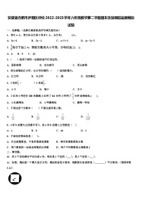 安徽省合肥市庐阳区评价2022-2023学年六年级数学第二学期期末质量跟踪监视模拟试题含解析