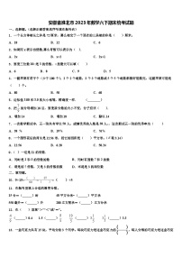 安徽省淮北市2023年数学六下期末统考试题含解析