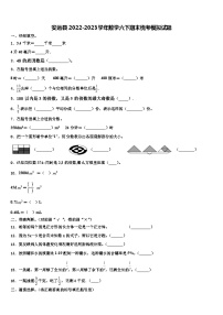 安远县2022-2023学年数学六下期末统考模拟试题含解析