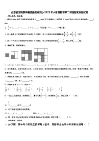 山东省定陶县冉堌镇南张庄完小2023年六年级数学第二学期期末预测试题含解析