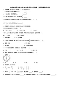 山东省东营市河口区2023年数学六年级第二学期期末经典试题含解析