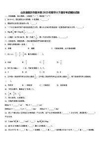 山东省临沂市临沐县2023年数学六下期末考试模拟试题含解析