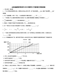 山东省威海市荣成市2023年数学六下期末复习检测试题含解析