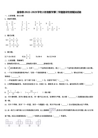 宜章县2022-2023学年六年级数学第二学期期末检测模拟试题含解析