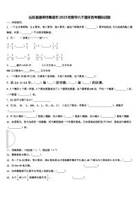 山东省德州市禹城市2023年数学六下期末统考模拟试题含解析