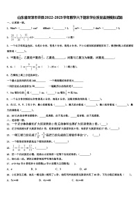 山东省菏泽市曹县2022-2023学年数学六下期末学业质量监测模拟试题含解析