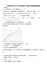 山东省济宁市2022-2023学年数学六下期末学业质量监测模拟试题含解析