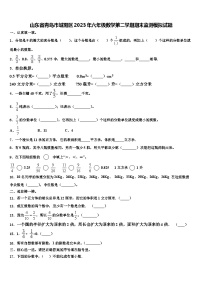 山东省青岛市城阳区2023年六年级数学第二学期期末监测模拟试题含解析