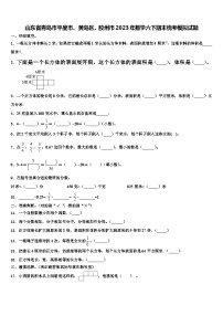 山东省青岛市平度市、黄岛区、胶州市2023年数学六下期末统考模拟试题含解析