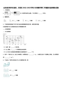 山东省日照市东港区、开发区2022-2023学年六年级数学第二学期期末监测模拟试题含解析