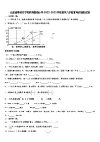 山东省泰安市宁阳县蒋集镇小学2022-2023学年数学六下期末考试模拟试题含解析