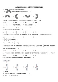 山东省烟台市2023年数学六下期末调研试题含解析