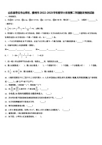 山东省枣庄市山亭区、滕州市2022-2023学年数学六年级第二学期期末预测试题含解析