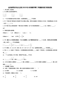 山东省枣庄市台儿庄区2023年六年级数学第二学期期末复习检测试题含解析