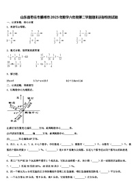 山东省枣庄市滕州市2023年数学六年级第二学期期末达标检测试题含解析