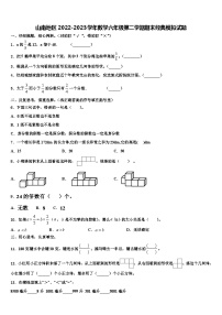 山南地区2022-2023学年数学六年级第二学期期末经典模拟试题含解析