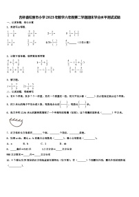 吉林省松原市小学2023年数学六年级第二学期期末学业水平测试试题含解析