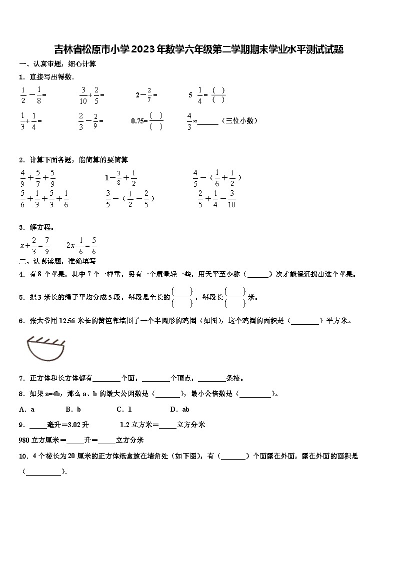 吉林省松原市小学2023年数学六年级第二学期期末学业水平测试试题含解析01