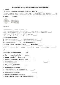 咸宁市通城县2023年数学六下期末学业水平测试模拟试题含解析