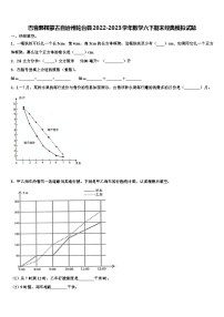 巴音郭楞蒙古自治州轮台县2022-2023学年数学六下期末经典模拟试题含解析