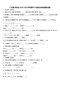 广东湛江坡头区2022-2023学年数学六下期末达标检测模拟试题含解析