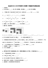 岐山县2022-2023学年数学六年级第二学期期末考试模拟试题含解析