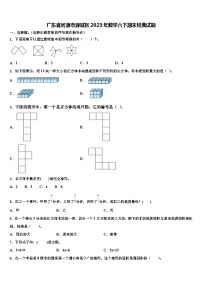 广东省河源市源城区2023年数学六下期末经典试题含解析