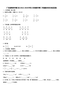 广东省梅州市梅江区2022-2023学年六年级数学第二学期期末综合测试试题含解析