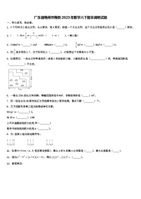 广东省梅州市梅县2023年数学六下期末调研试题含解析