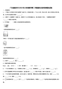 广东省韶关市2023年六年级数学第二学期期末达标检测模拟试题含解析