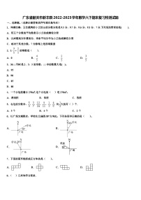 广东省韶关市新丰县2022-2023学年数学六下期末复习检测试题含解析