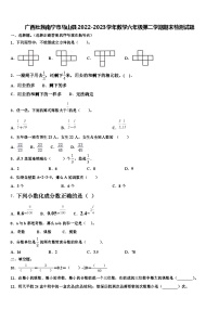 广西壮族南宁市马山县2022-2023学年数学六年级第二学期期末检测试题含解析