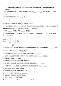 广西壮族南宁市邕宁区2022-2023学年六年级数学第二学期期末调研试题含解析