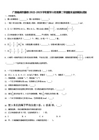 广西梧州市藤县2022-2023学年数学六年级第二学期期末监测模拟试题含解析