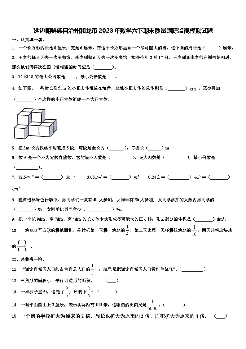 延边朝鲜族自治州和龙市2023年数学六下期末质量跟踪监视模拟试题含解析第1页