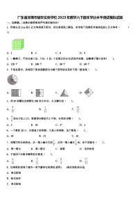 广东省深圳市耀华实验学校2023年数学六下期末学业水平测试模拟试题含解析