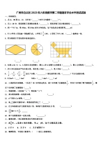 广州市白云区2023年六年级数学第二学期期末学业水平测试试题含解析