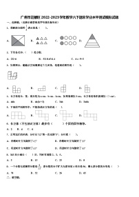 广州市花都区2022-2023学年数学六下期末学业水平测试模拟试题含解析