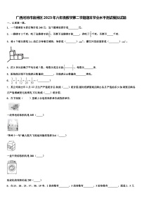 广西河池市宜州区2023年六年级数学第二学期期末学业水平测试模拟试题含解析