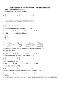 成都市龙泉驿区2023年数学六年级第二学期期末监测模拟试题含解析