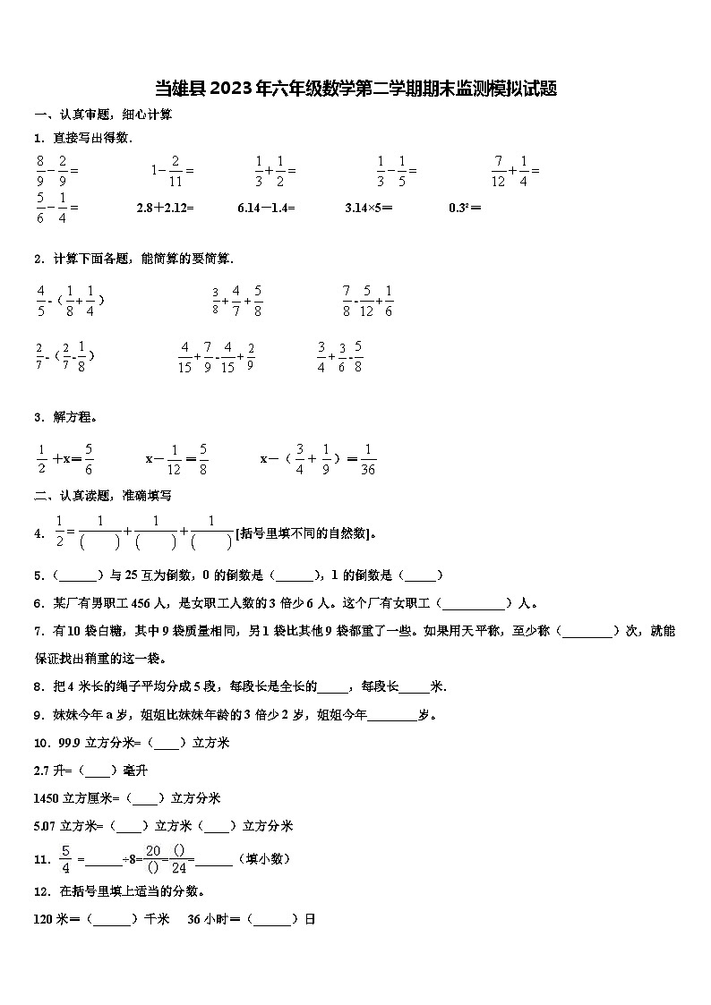 当雄县2023年六年级数学第二学期期末监测模拟试题含解析01